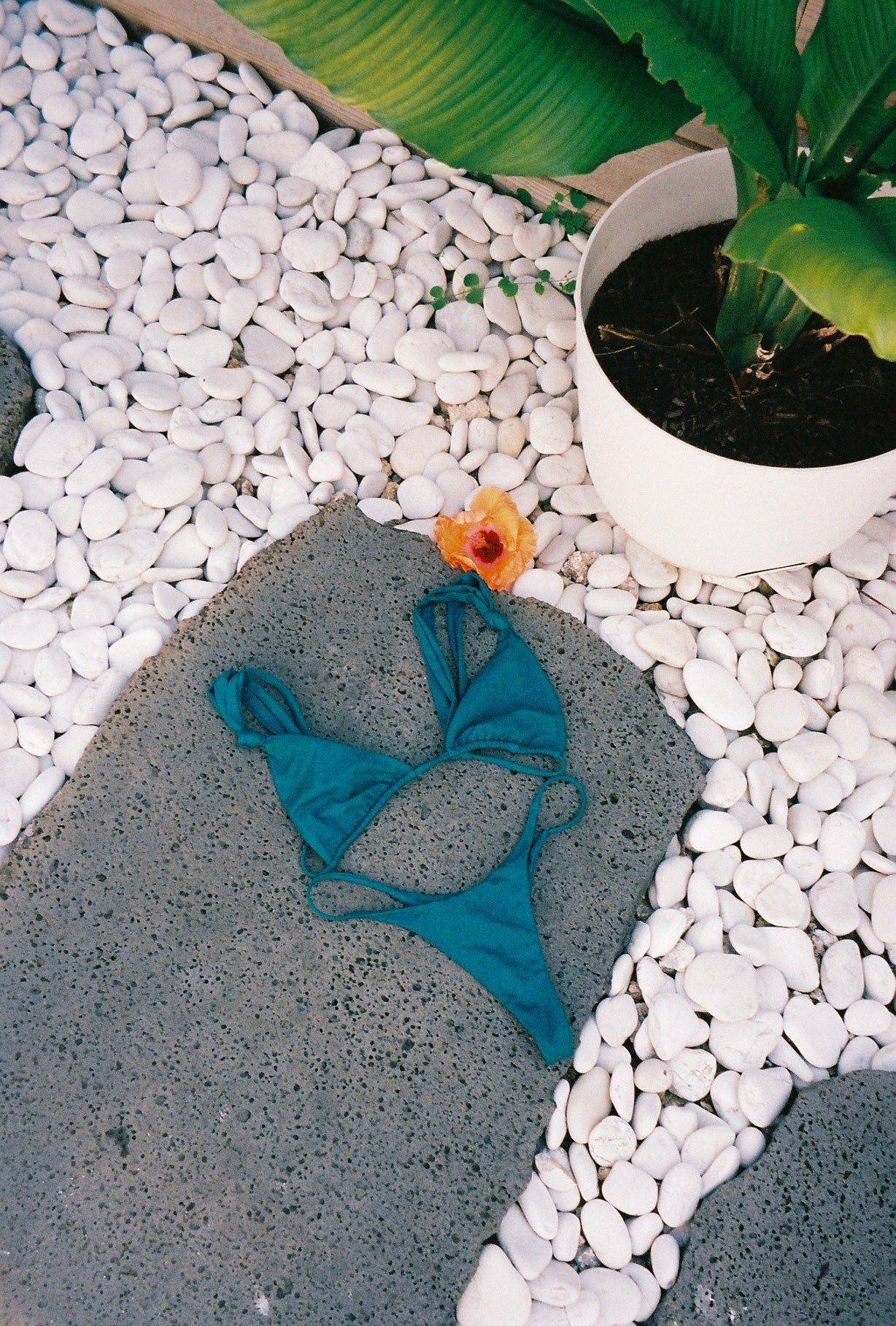 Shop All Bikinis