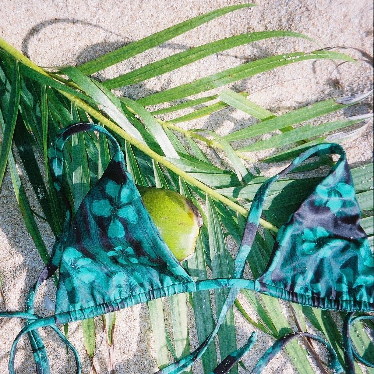 Fashion Show Exclusive Kasey Tops